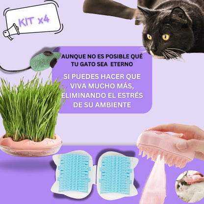 Kit Antiestrés - Para Gatos